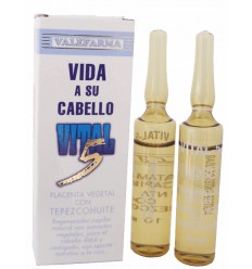 VITAL 5 VIDA A SU CABELLO